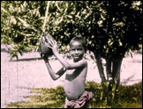 Programa 1.  Anónimo: The Wonderful Fruit of the Tropics (1914)